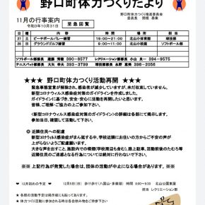 野口町体力つくりだより・11月 の行 事案内